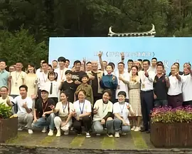 南瓜花的纯情